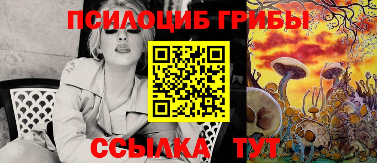 Псилоцибиновые грибы ЛСД  Вход с VPN  как найти закладки  Елец 